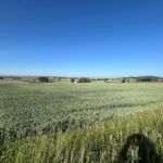 KHS Battlefields Trip 2026 - Day Three, "The South Salient"