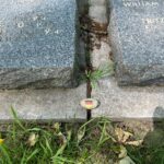 KHS Battlefields Trip 2026 - Day Five, "The South Salient"