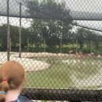 Visiting the Deer Centre