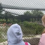 Visiting the Deer Centre