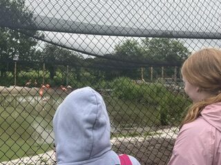 Visiting the Deer Centre