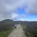 Reached the Top!