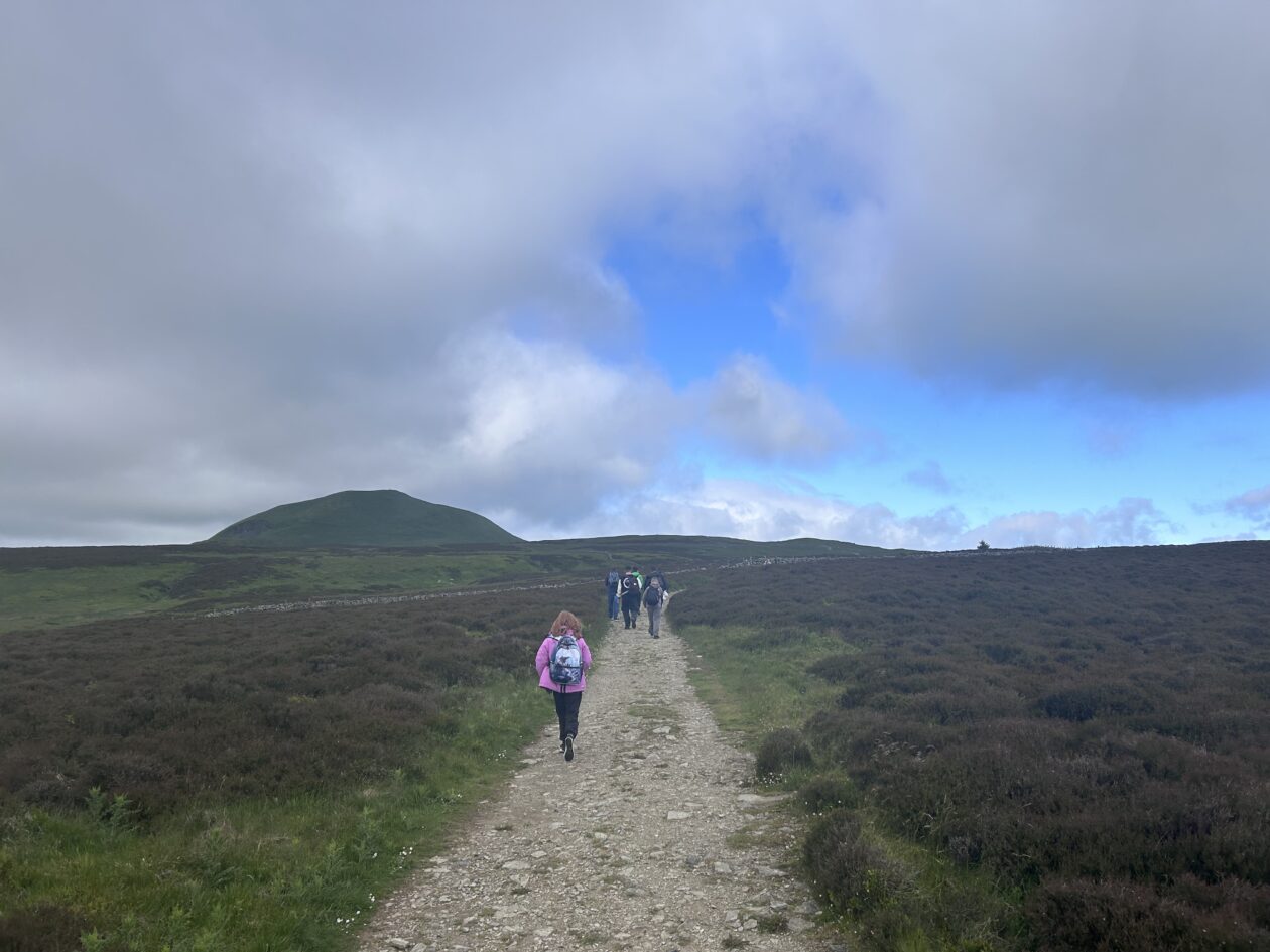 Reached the Top!