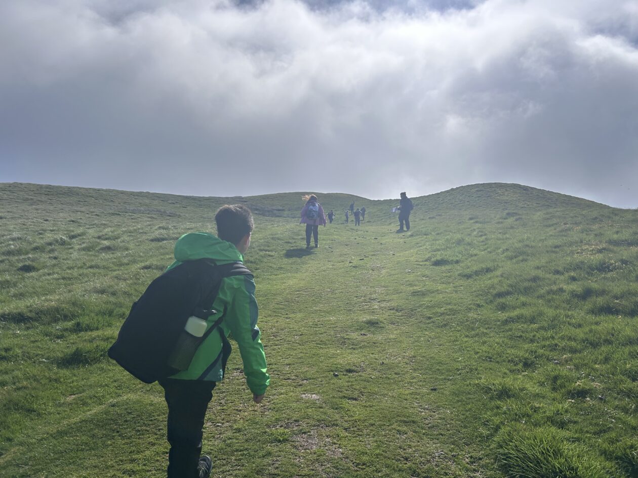 Reached the Top!