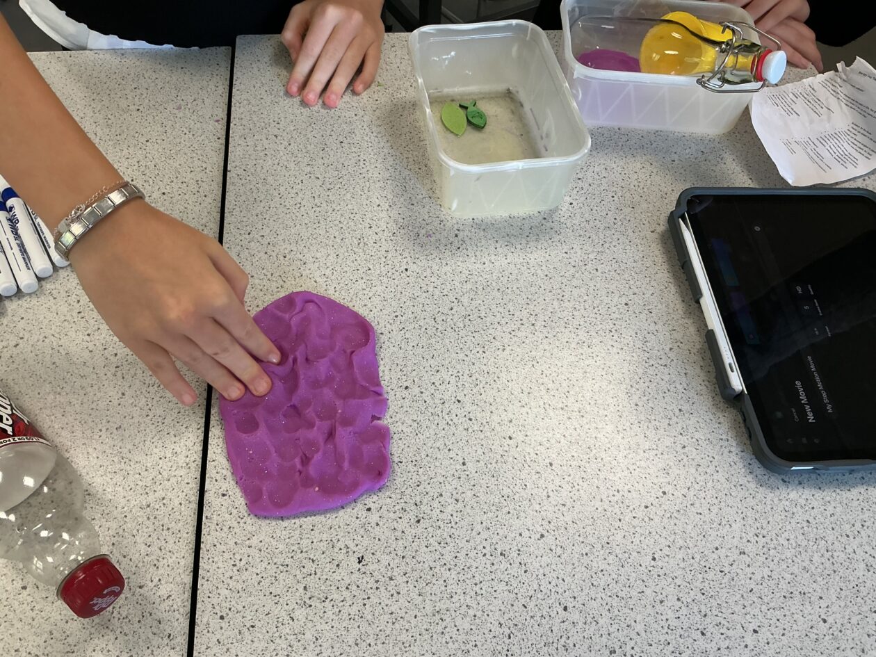 From Plastic Bottles to Powerful Stories: S2 Sea Story Day