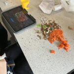From Plastic Bottles to Powerful Stories: S2 Sea Story Day