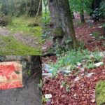 Collage of photographs showing litter and environmental damage within the Middleden woodland area. Images show rubbish scattered among trees, litter on woodland paths, and discarded packaging on the ground. The collage highlights some of the environmental challenges faced by volunteers working to keep the woodland clean and safe.