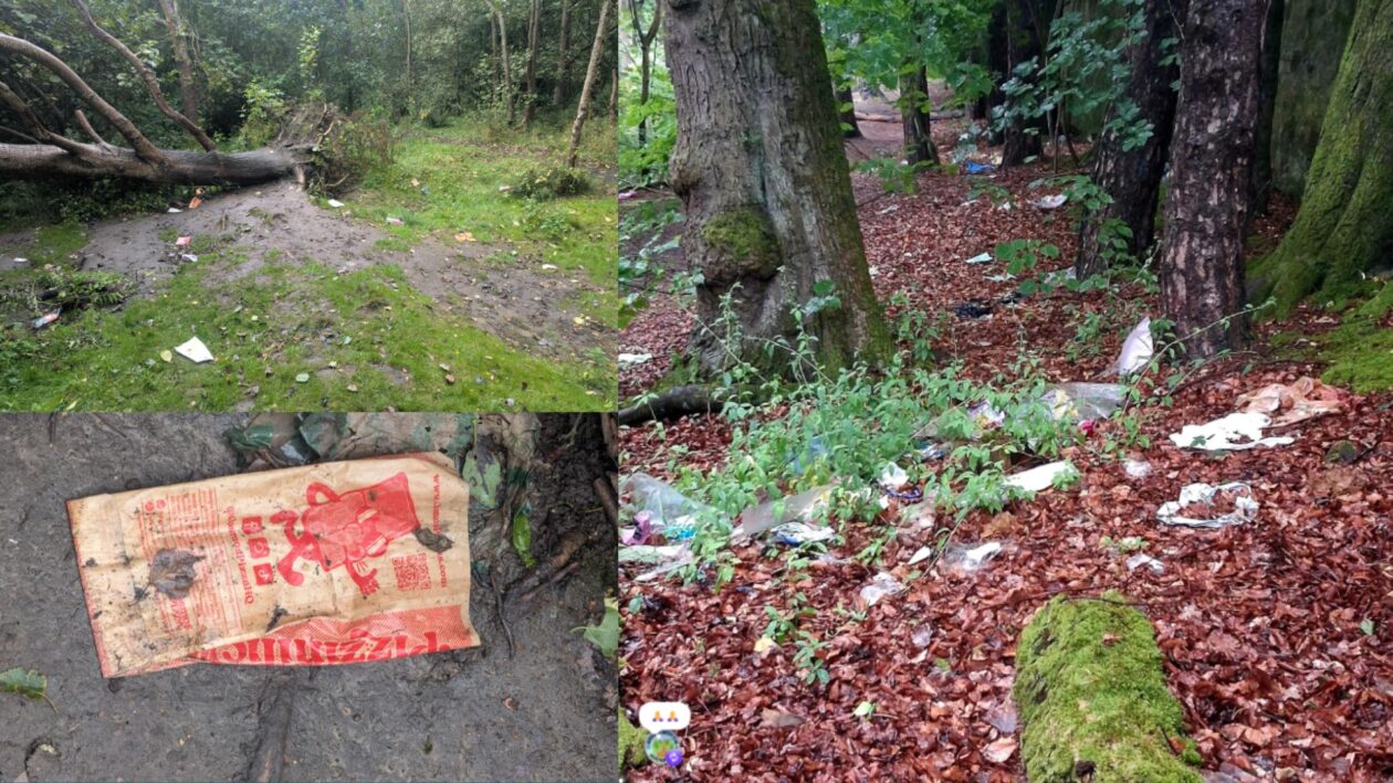 Collage of photographs showing litter and environmental damage within the Middleden woodland area. Images show rubbish scattered among trees, litter on woodland paths, and discarded packaging on the ground. The collage highlights some of the environmental challenges faced by volunteers working to keep the woodland clean and safe.