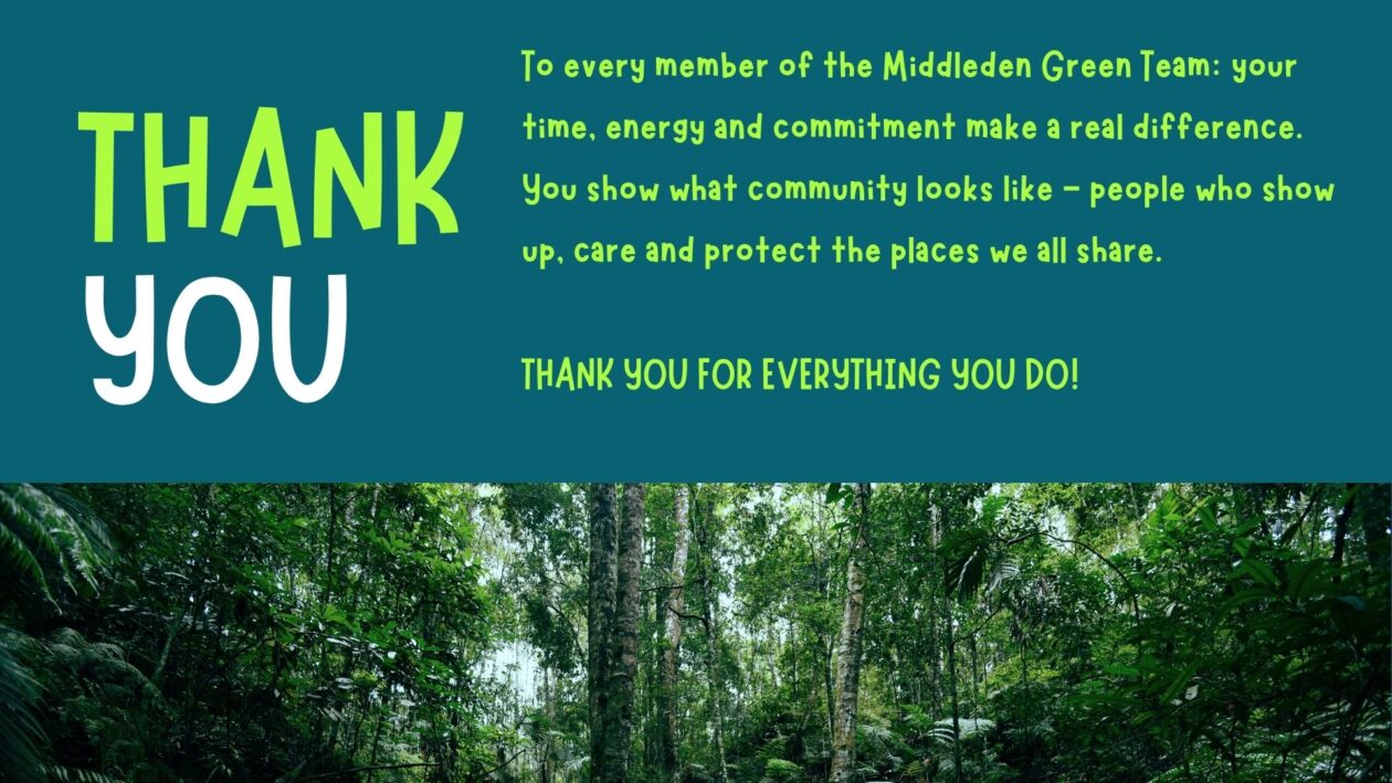 A landscape-format infographic with a bright green background and a banner photograph across the top showing tall green bamboo stems and foliage viewed from below. A large heading reads: WHAT WE HAVE ACHIEVED THIS YEAR SO FAR! Below the heading, black text summarises the group's environmental impact during 2026. The information states: 20 litter-picking sessions have taken place so far in 2026. An average of 200 heavy-duty bags of rubbish have been filled. An estimated 1,000 kg (1 tonne) of waste has been removed from Middleden. The weight removed is described as being roughly equivalent to the weight of a small car or a Highland pony. Typical litter bags contain 15-20 plastic bottles, leading to an estimated 3,000-4,000 plastic bottles removed from the area. 150 kg of bulky waste has been cleared. Streams have been cleared of shopping trolleys and other debris. Multiple incidents of fly-tipping have been identified and reported. The infographic uses large, high-contrast text to present key achievements and environmental statistics. The bright green colour scheme reinforces the themes of conservation, community action and environmental stewardship. The overall message emphasises the significant contribution made by volunteers in improving and protecting the Middleden woodland area during 2026.