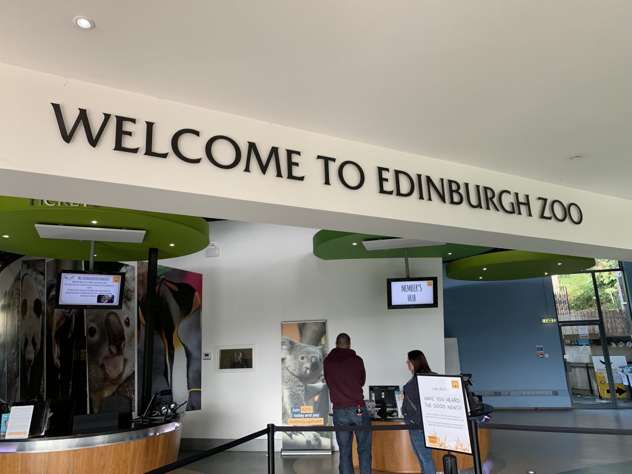 trip-to-edinburgh-zoo-class-2-2019-20