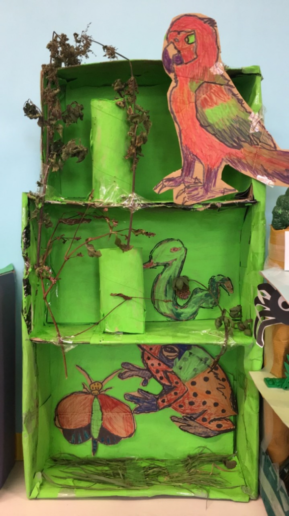 3D Rainforest Models by P7b – Balornock Primary School
