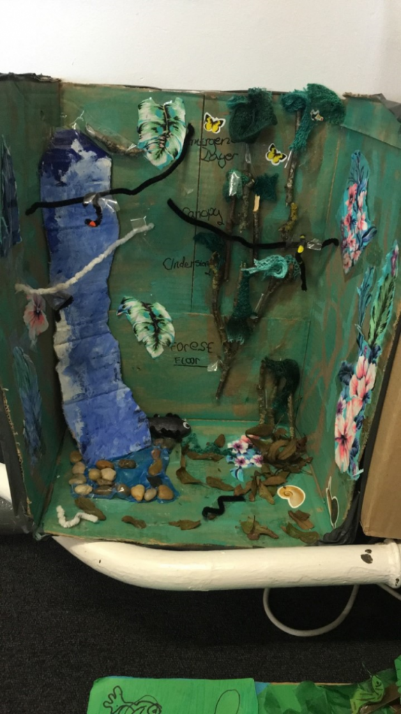 3D Rainforest Models by P7b – Balornock Primary School