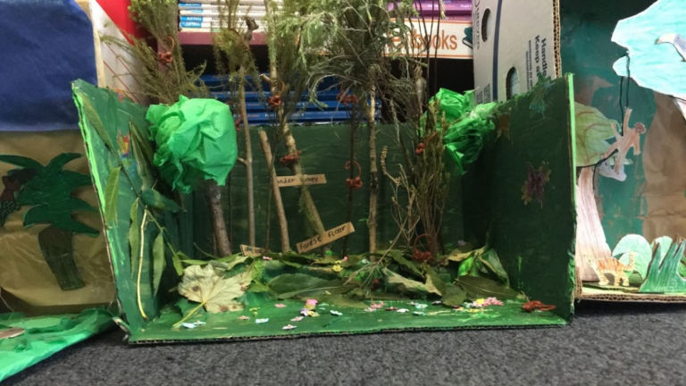 3D Rainforest Models by P7b – Balornock Primary School