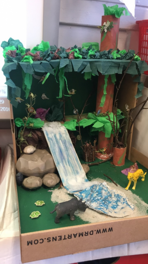 3D Rainforest Models by P7b – Balornock Primary School