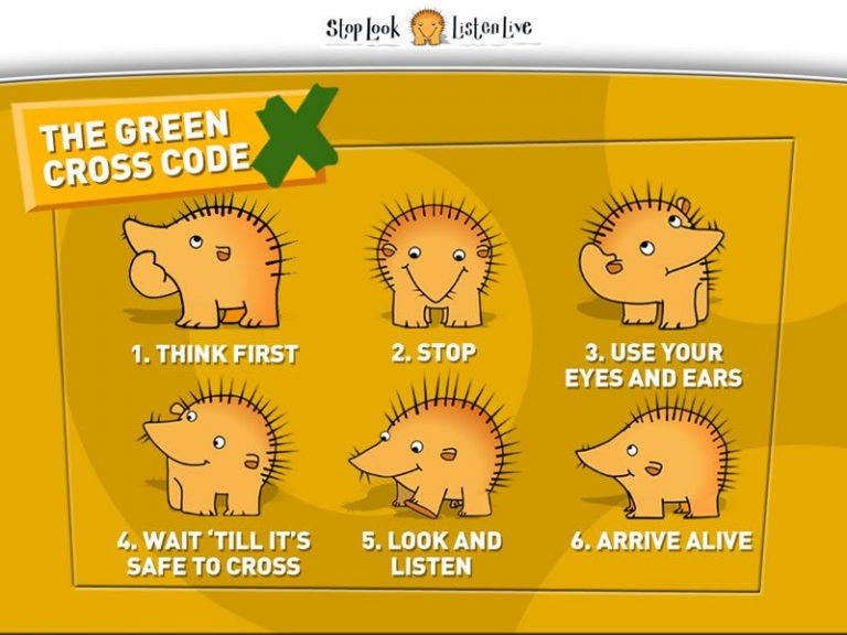 Using The Green Cross Code… in Partnership with P7b Balornock Primary