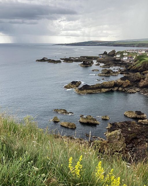 Holyrood Library Reading fun! Glasgow School Libraries