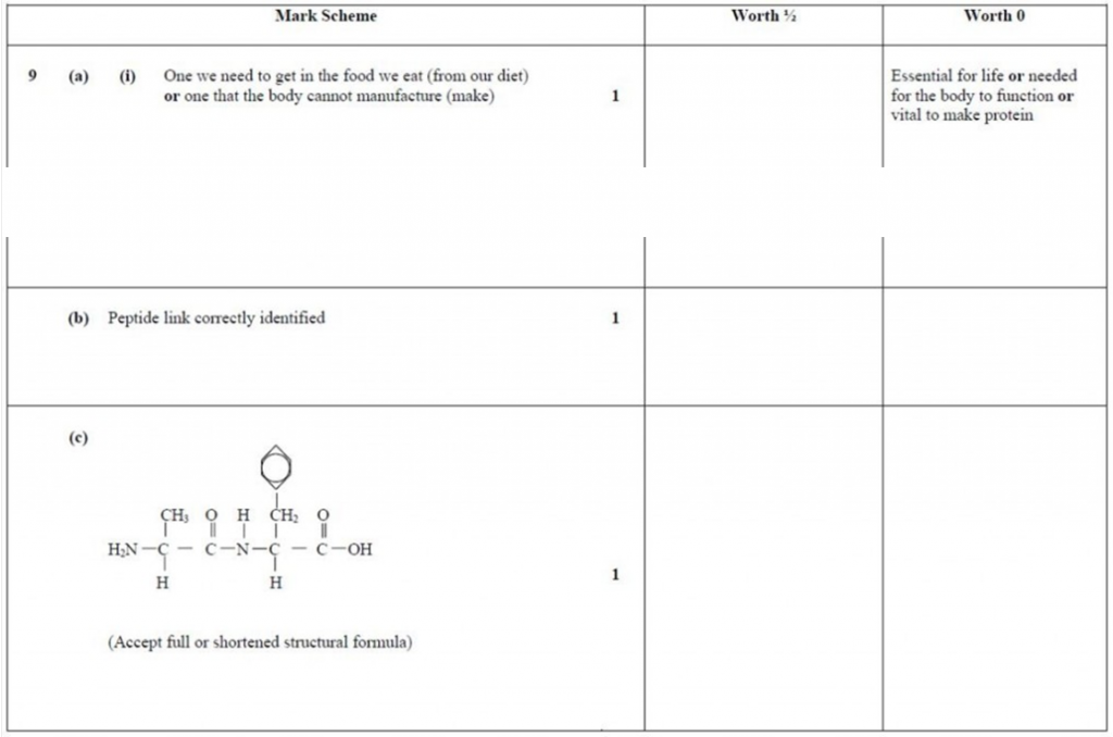 Answers: Exercise 2_6 – Proteins – Higher Chemistry Homework Answer Guide