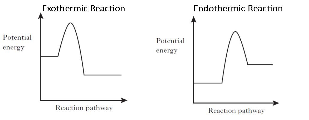 Draw An Energy Level Diagram For An Endothermic Reaction