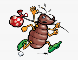 Head Lice – Take A Peek Every Week | Hyndland Primary