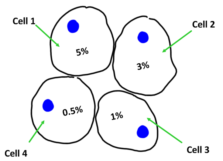 Cytoplasm In A Plant Cell Will Shrink If / Plant Cell Plasmolysis / In