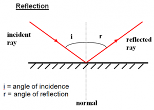 Light & Radiation Revision – Science Revision