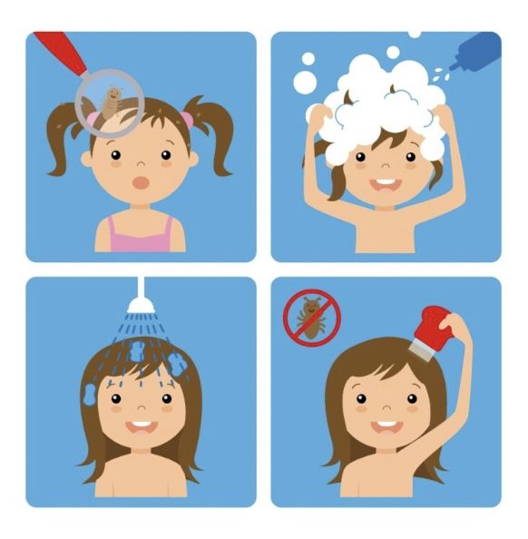 Head Lice | Knightswood Primary School