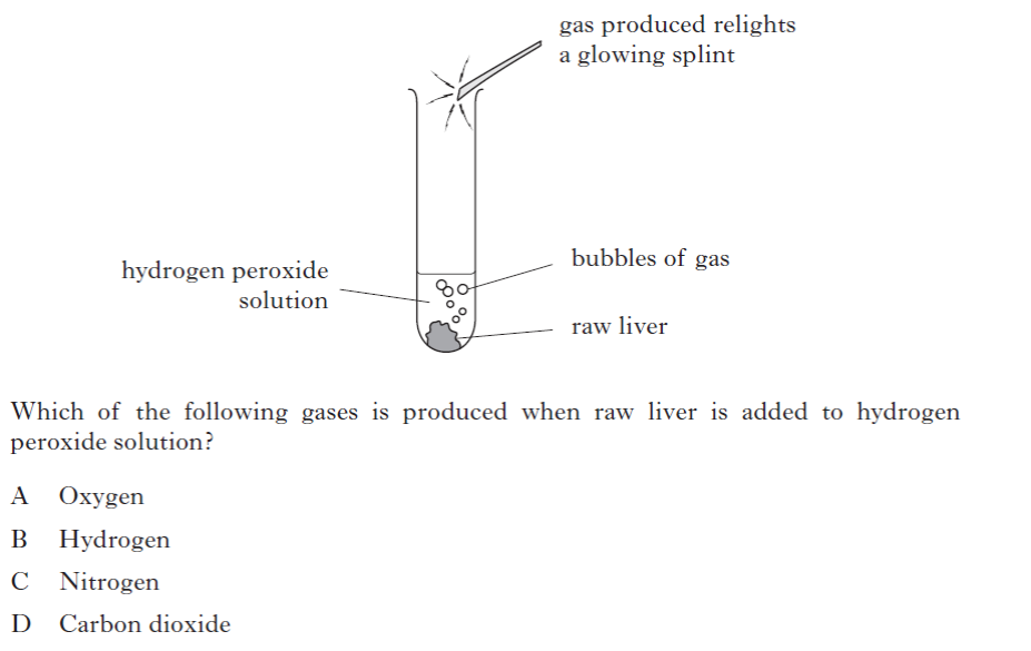 EP3_1B N5 Naming & Word Equations – National 5 Chemistry Skills & Revision