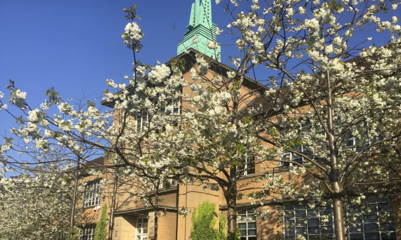 staff-notre-dame-high-school