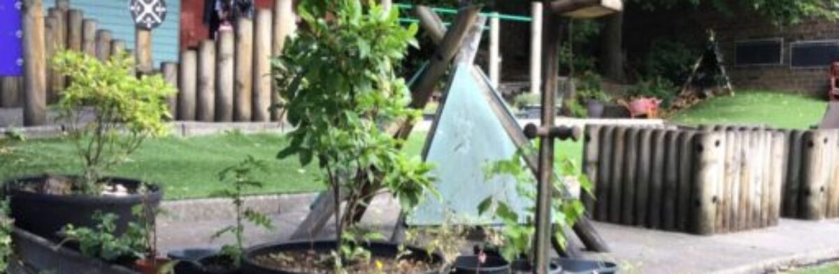 Renfrew Street Nursery Blog