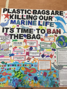 Our Eco Successes Marine Litter Poster Competition St Albert S Eco