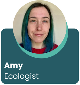 What does a scientist look like? – Celebrating women in STEM during British Science Week: Meet Amy