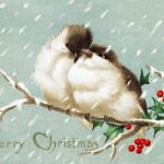 Two birds on a snowy branch with "Merry Christmas" text.