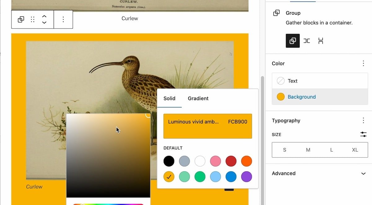 screenshot of Glow Blogs WordPress Block editor. Showing an image of a curlew, the image block in a group and the background colour controls.