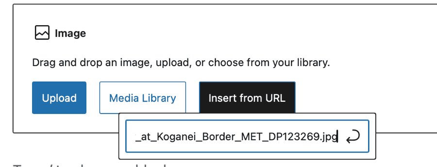 Screenshot of WordPress media block with a URL in the insert from URL field.