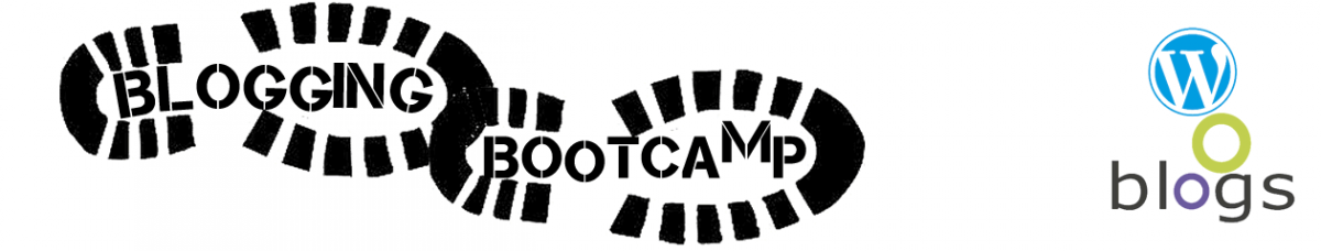 Blogging Bootcamp