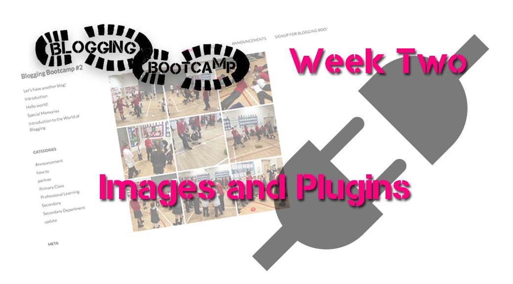 Blogging Bootcamp Week 2 | Blogging Bootcamp #2