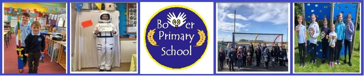 Bower Primary School