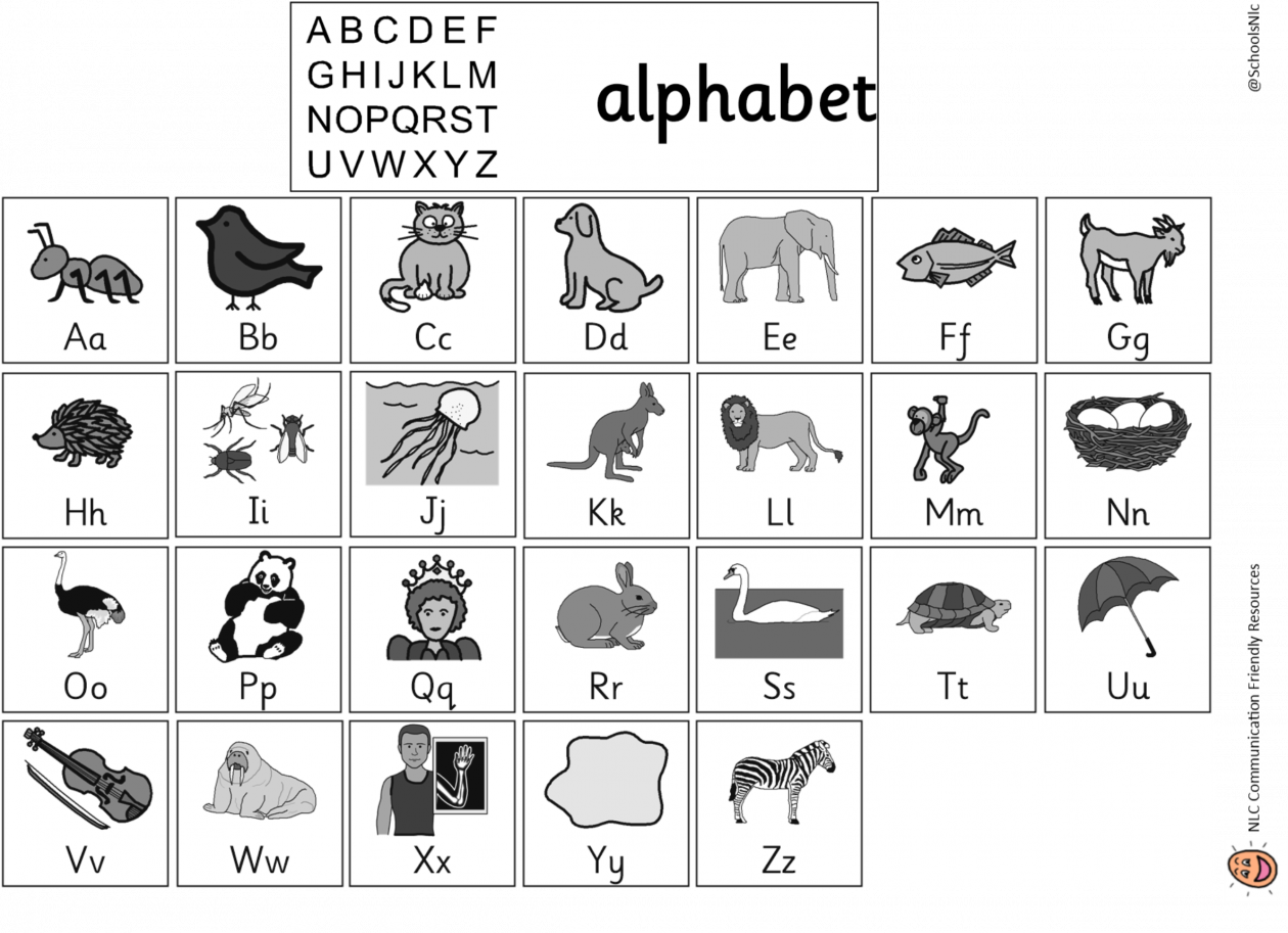 differentiated alphabet board communication friendly