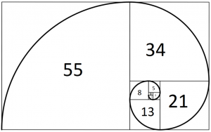 golden ratio in nature