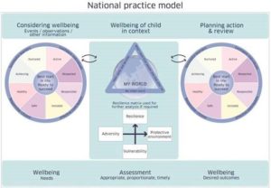 Picture of the National Practice Model