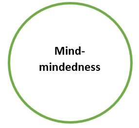 Mind-mindedness