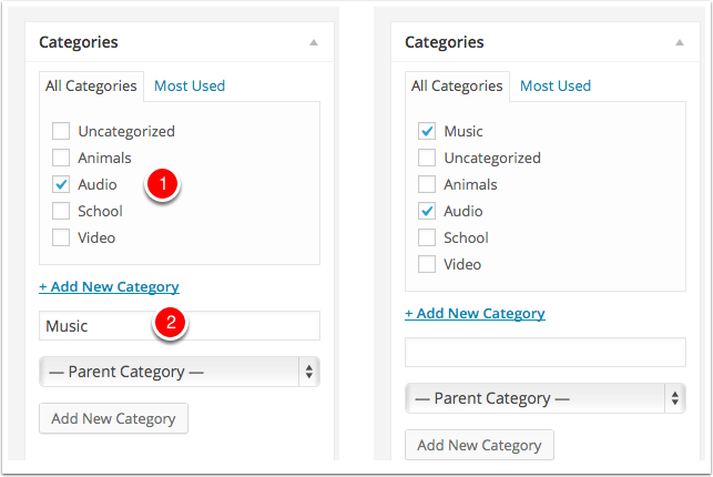 Categories and Tags