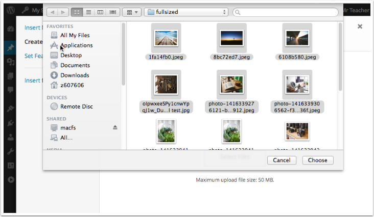 Select files in the standard file browser