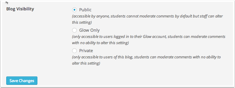 Privacy Settings Blog Visibility