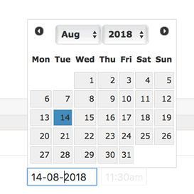 screenshot of date picker