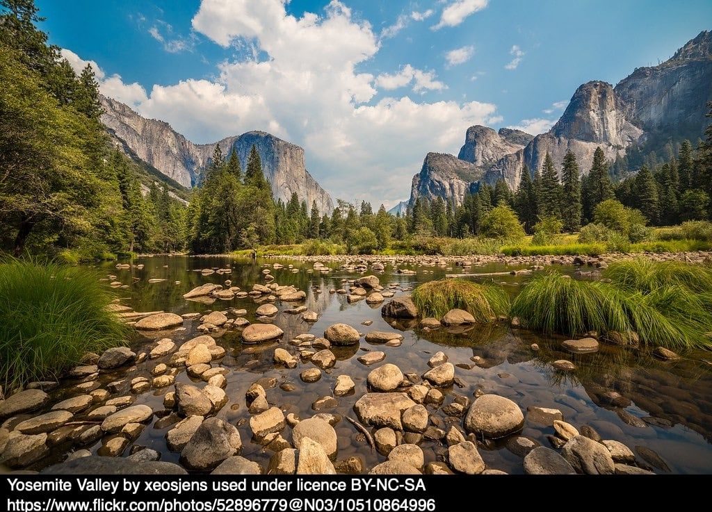 John Muir – example column