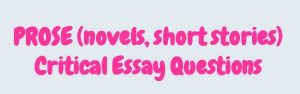 higher english critical essay