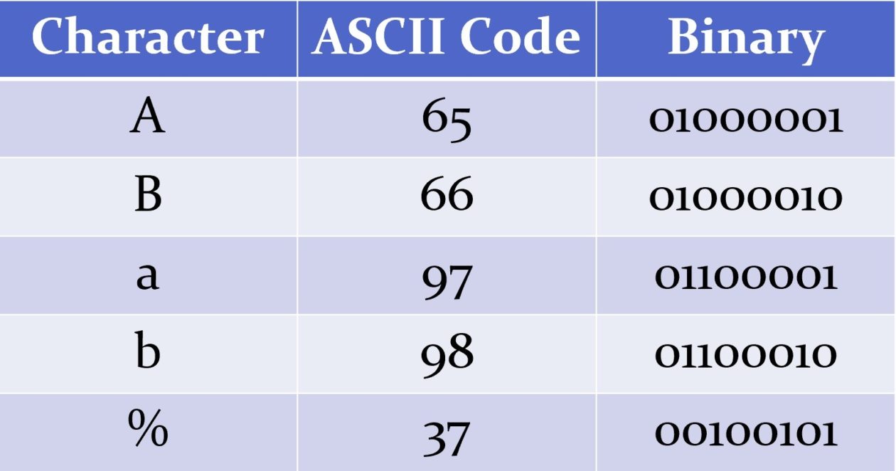 Storing Text | N5 Computing Science