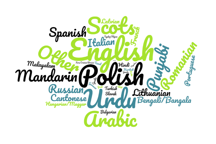 this image shows a word bubble with the following words at the centre, 'English, Polish, Urdu, Arabic, Mandarin, Scots, Punjabi, Romanian, Spanish'.