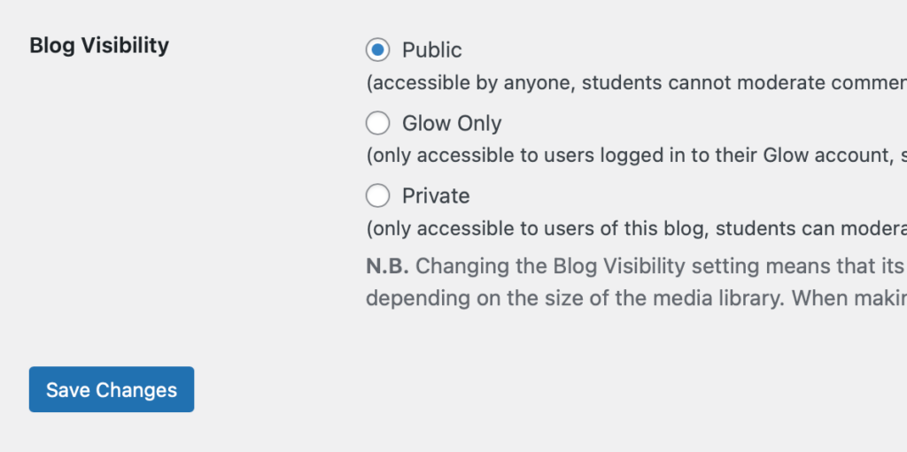 Blog Visibility settings screenshot.